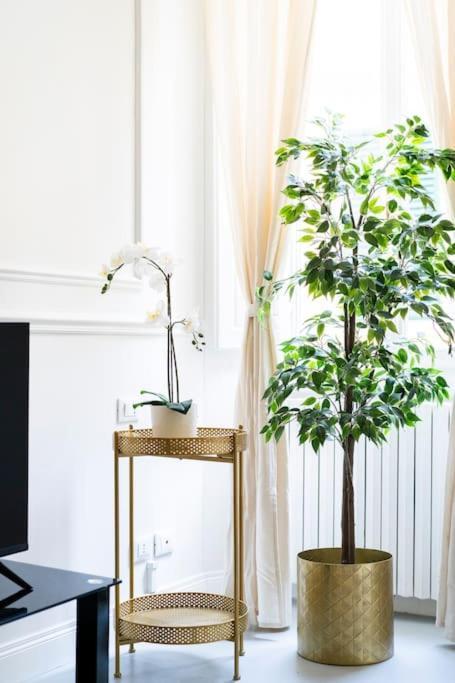 Duomo Deluxe Apartment, Firenze المظهر الخارجي الصورة